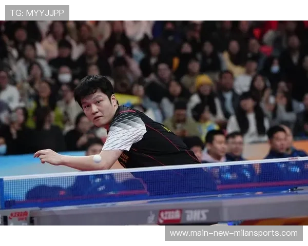 樊振东状态复苏,球迷信心爆棚,樊振东近期比赛视频 樊振东状态复苏,球迷信心爆棚,樊振东近期比赛视频