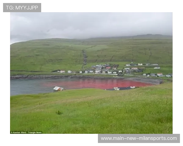 海湾者后防线多次关键解围,海湾旅行者怎么变形 海湾者后防线多次关键解围,海湾旅行者怎么变形